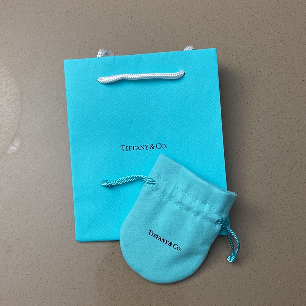 Tiffany & Co. Mini Shopping Bag + Mini Jewelry Bag (NEW)